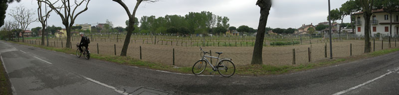 cervia_016
