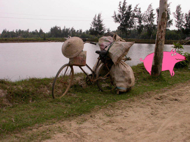 viet_2003_049