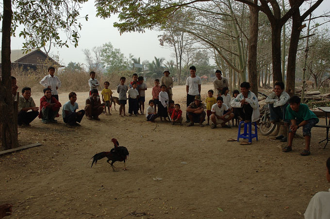 thai2005_0190