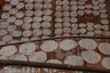 thai2005_0204