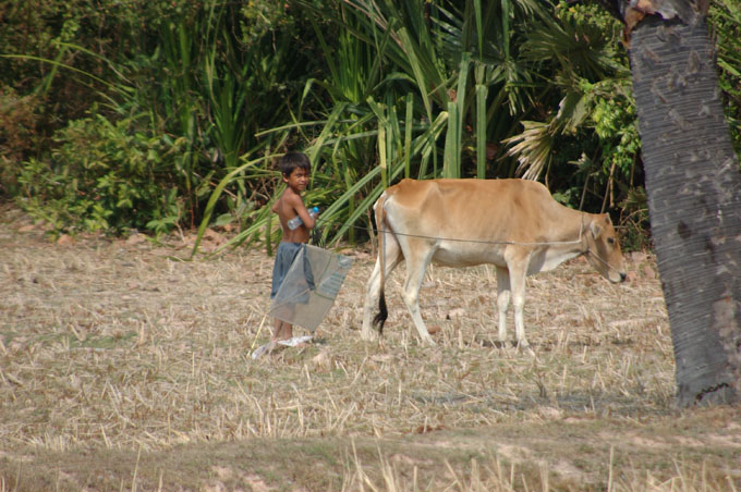 thai2005_0334