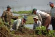 thai2005_0358