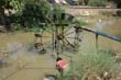 thai2005_0364