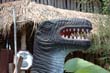 thai2005_0582