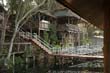 thai2005_0595