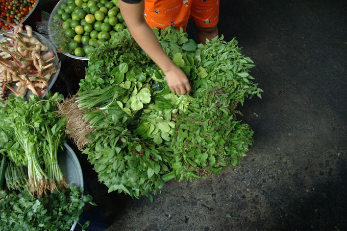 thai2005_0604
