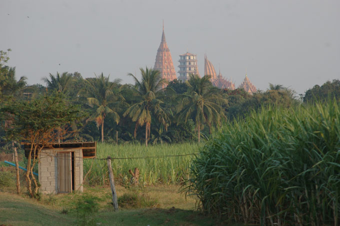 thai2005_0641