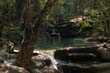 thai2005_0696