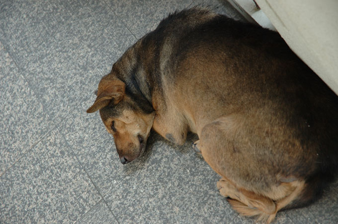 thai2005_0723