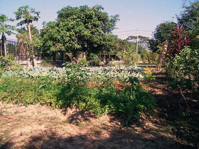 thai0045