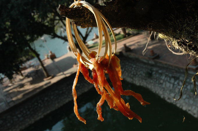 04_vangvieng_020