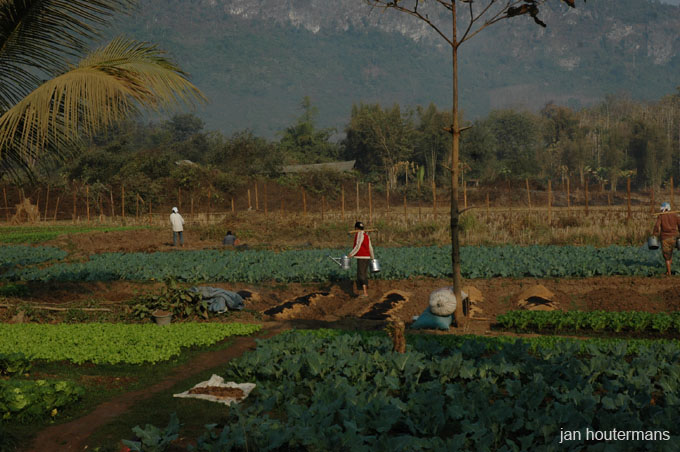 09_luang_5_018
