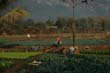 09_luang_5_018