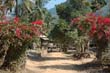10_pakbeng_3_010