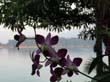 laos_2008_013